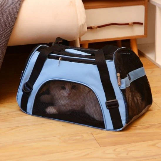 sac-de-voyage-chat-bleu