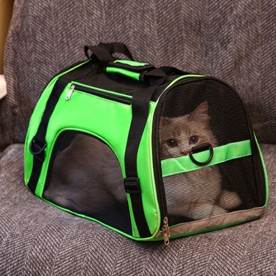 sac-de-voyage-chat-vert