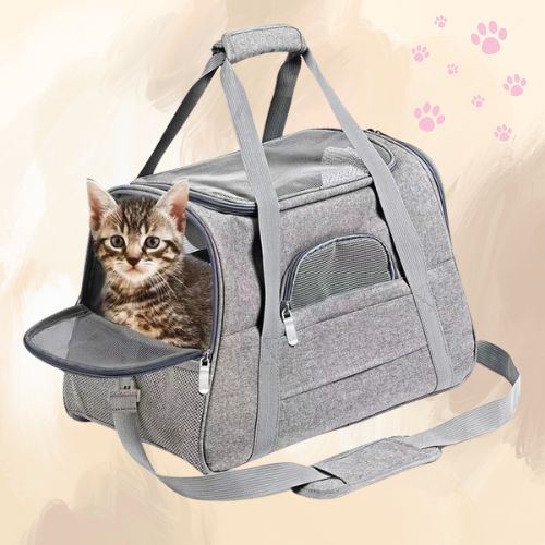 sac-de-voyage-pour-chat-gris