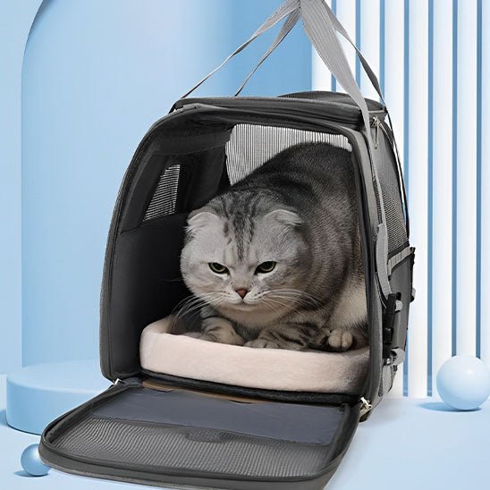 sac de voyage pour chat polyvalent confortable
