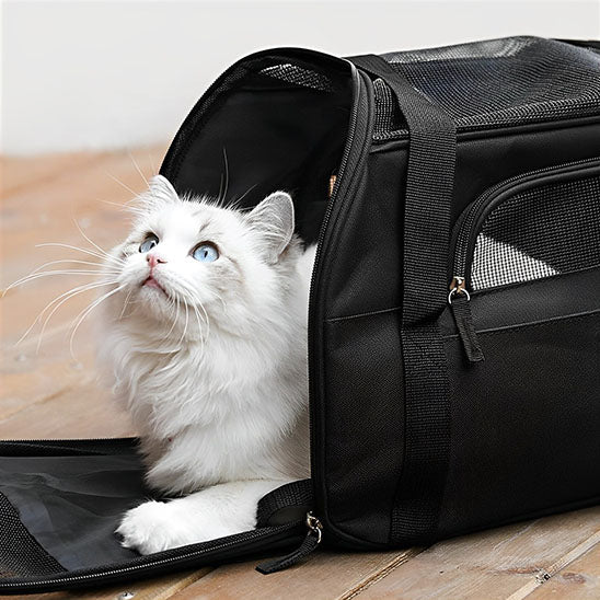 sac de voyage pour chat polyvalent sécurisé