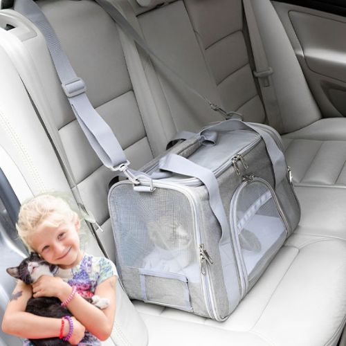 sac-de-voyage-pour-chat-voiture