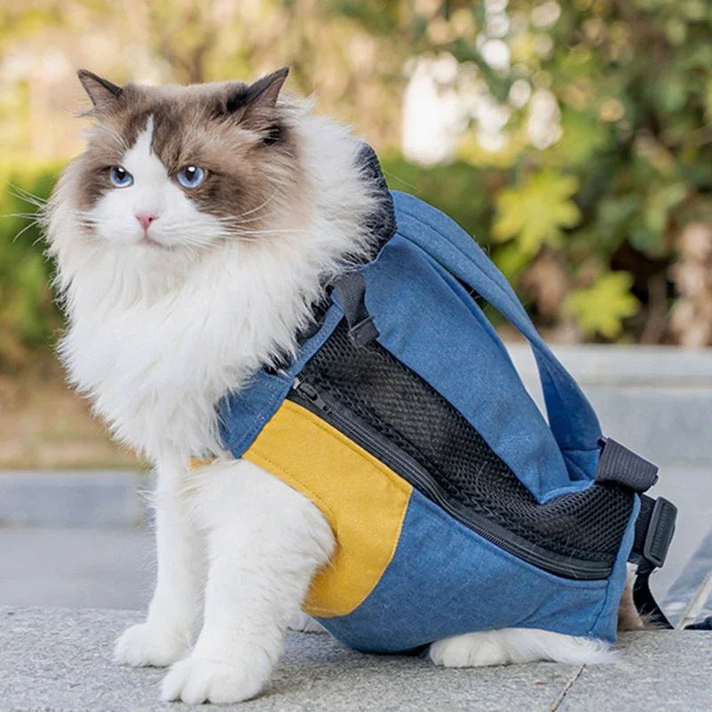 SAC POUR CHAT | EN TOILE DE COTON - Leschamour