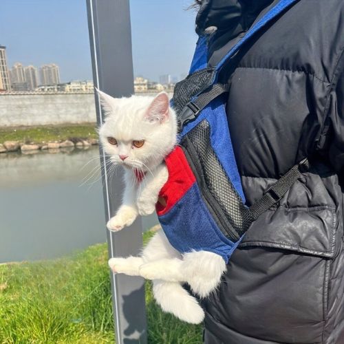 SAC POUR CHAT | EN TOILE DE COTON - Leschamour