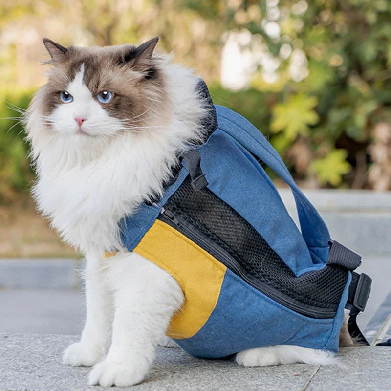 sac-pour-chaton-bleu_et_jaune
