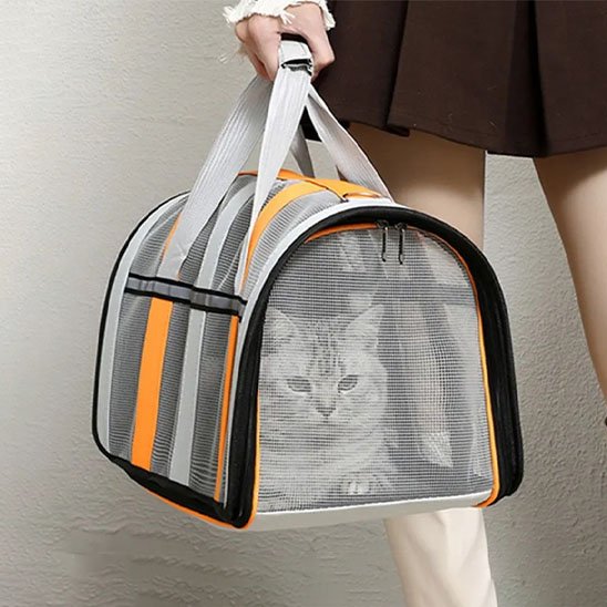 sac pour transport de chat sac à main sécurisé