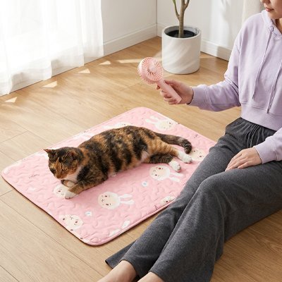 TAPIS RAFRAICHISSANT POUR CHAT | ANTIDÉRAPANT - Leschamour