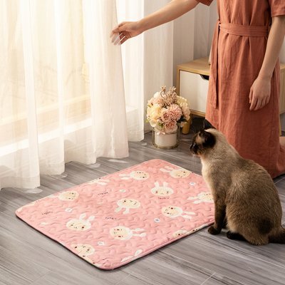 TAPIS RAFRAICHISSANT POUR CHAT | ANTIDÉRAPANT - Leschamour