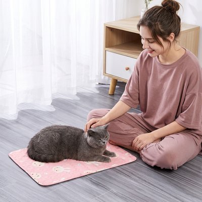TAPIS RAFRAICHISSANT POUR CHAT | ANTIDÉRAPANT - Leschamour