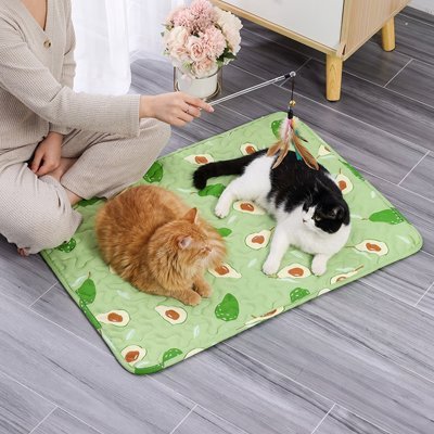 TAPIS RAFRAICHISSANT POUR CHAT | ANTIDÉRAPANT - Leschamour
