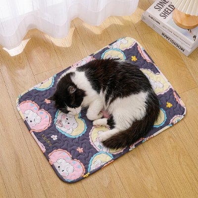 Tapis rafraichissant pour Chat antidérapant