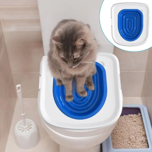 toilette_pour_chat_bleu