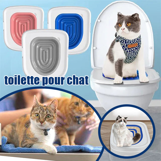 toilette_pour_chat_nettoyage_facile