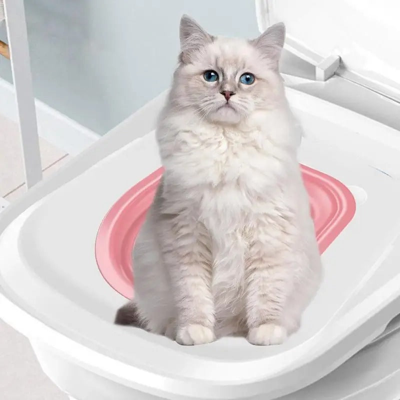 toilette_pour_chat_pas_cher