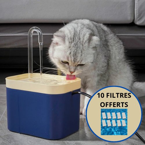 FONTAINE A EAU CHAT | FONTAINECAT™ - Leschamour