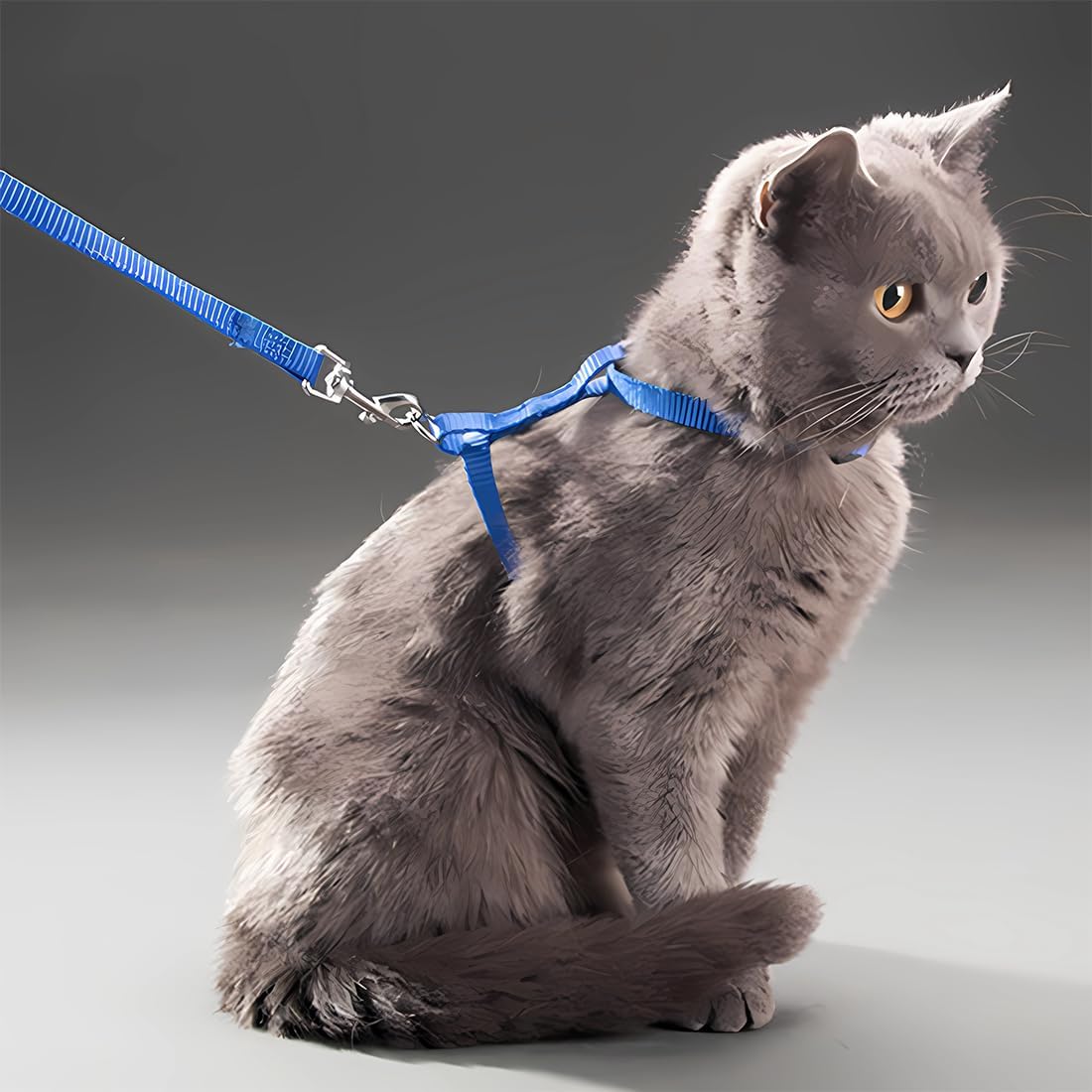 harnais chat simple bleu