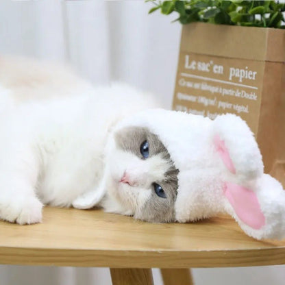 RabbitHat™ - Accessoire de déguisement pour chat - Leschamour